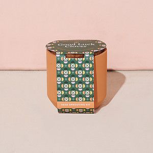 Modern Sprout® Tiny Terracotta Grow Kit Good Luck Clover