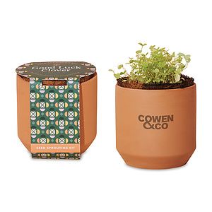 Modern Sprout® Tiny Terracotta Grow Kit Good Luck Clover