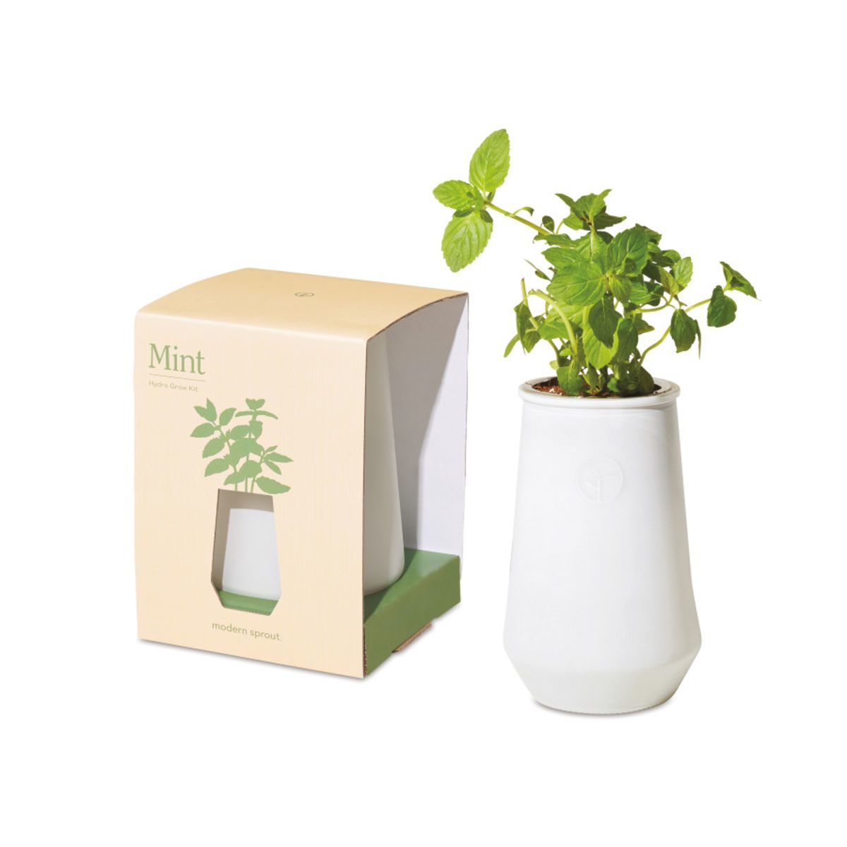 Modern Sprout Tapered Tumbler Grow Kit