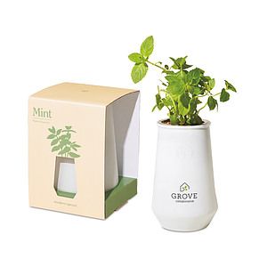 Modern Sprout Tapered Tumbler Grow Kit
