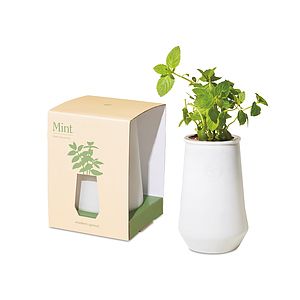 Modern Sprout Tapered Tumbler Grow Kit