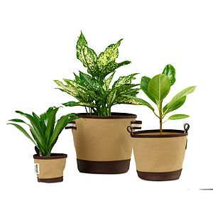 Heritage Supply™ Plant, Grow and Store Trio of Pots