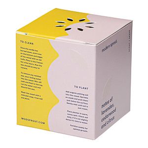 Modern Sprout® Rooted Candle