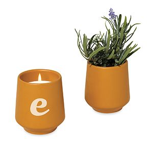 Modern Sprout® Rooted Candle