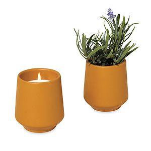 Modern Sprout® Rooted Candle