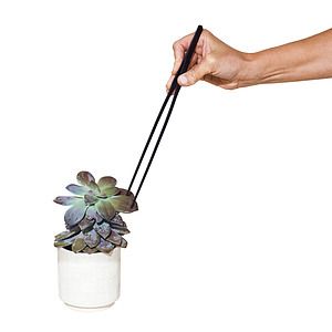 Modern Sprout® Plant Parent Care Kit