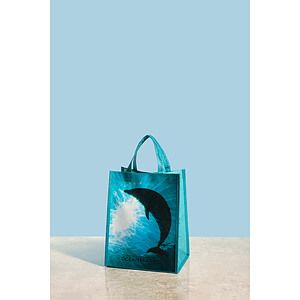 Out of the Ocean® Reusable Lunch Shopper