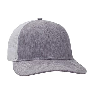 Ahead Brant Cap