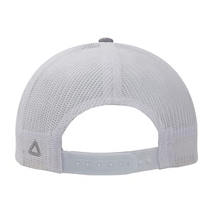 Ahead Brant Cap