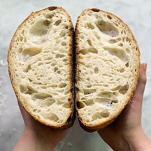 FarmSteady Sourdough Bread Winner Kit