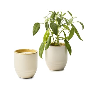 Modern Sprout® Garden Vibes Candle/Planter