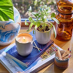 Modern Sprout® Garden Vibes Candle/Planter