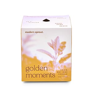Modern Sprout® Garden Vibes Candle/Planter