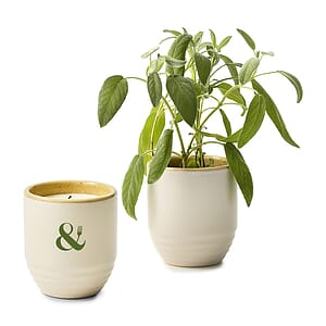 Modern Sprout® Garden Vibes Candle/Planter