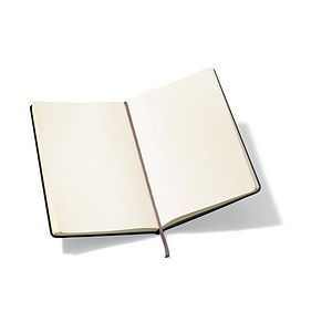 Moleskine® Hard Cover Plain Large Notebook