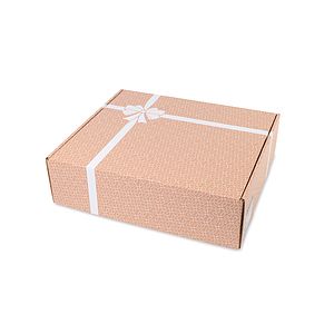 Extra Large Box Mailer