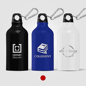 Portland - 19 oz. Aluminum Water Bottle