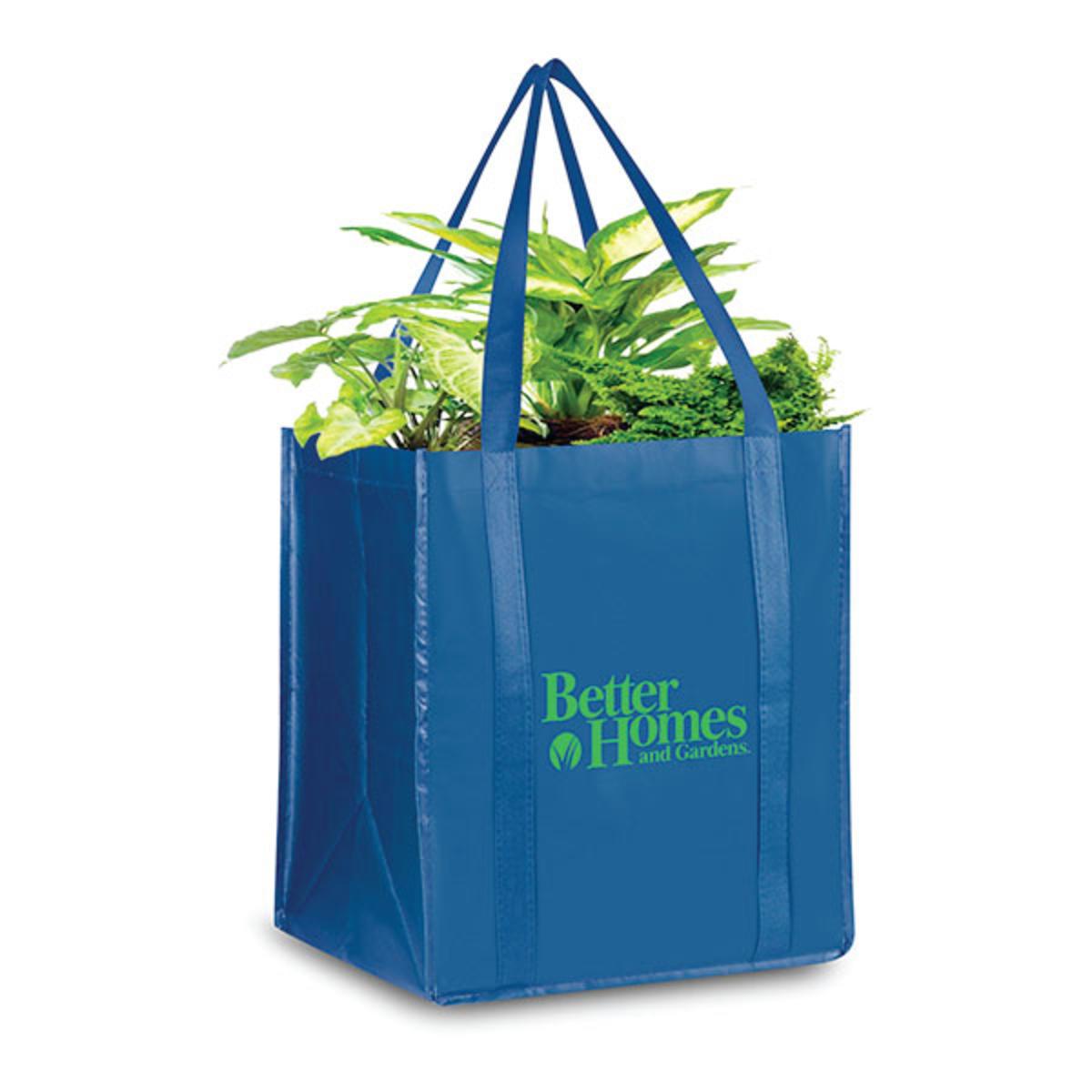 Heavy duty grocery bag 2