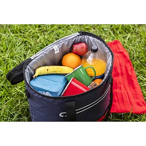 Heavy-Duty Friz XL Cooler Bag