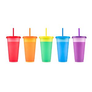 24 oz Chameleon Tumbler