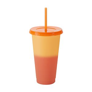 24 oz Chameleon Tumbler
