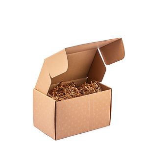 Small Holiday Gift Box