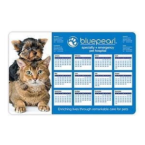 Thins Repositionable Counter Mat wMatte Plus Surface (11x17.02)