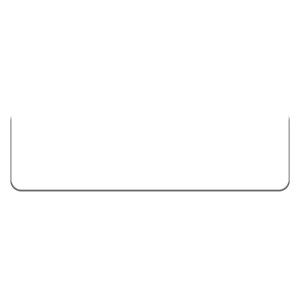 6 Inch Ruler Tag