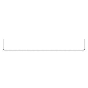 12 Inch Ruler Tag