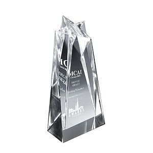 Medium Star Sculpture Award