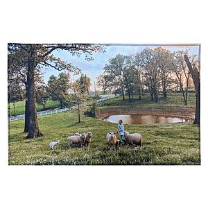 20 X 31 Indoor Rug