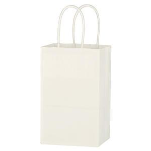 Kraft Paper White Shopping Bag - 5-1/4" x 8-1/4"