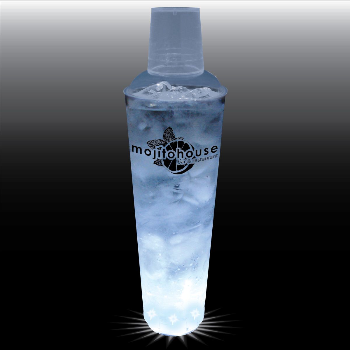 24oz 5-Light 3 Piece Large Volume Plastic Cocktail Shaker