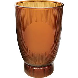 18oz Plastic Coconut Cup
