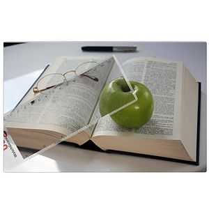 Calatra Book Mark Magnifier
