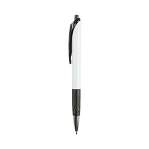 The Dublin Pen
