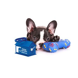 Dog House Waste Bag Dispenser