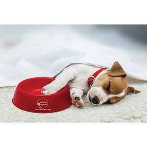 Plastic Pet Bowl