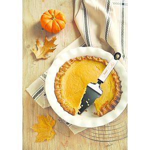 Metal Cake/Pie Server