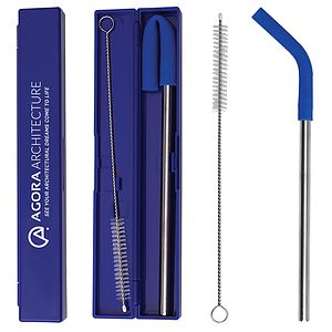 Stainless Steel Metal Straw Set