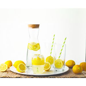 Citrus Juicer