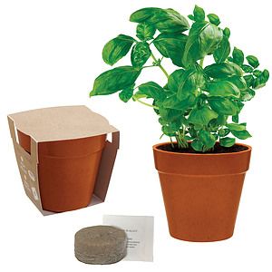 Mini Bamboo Blossom Kit