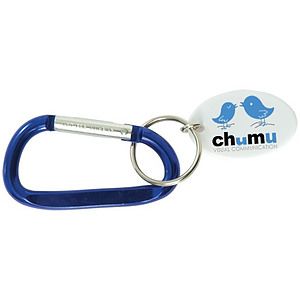 Small Carabiner Keytag