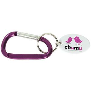 Small Carabiner Keytag