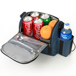 Compact Leakproof 6-Can Insulated Cooler Bag