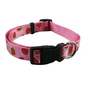 5/8"W x 12"L Heavy-duty Polyester Pet Collar w/ Buckle Release