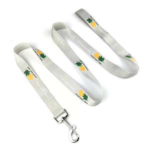 3/4"W x 72"L Durable Polyester Pet Leash w/ Metal Carabiner