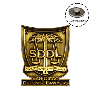 Die Struck Custom Lapel Pins with Magnet Backing