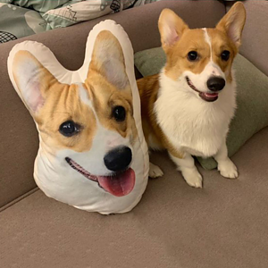 24" Custom Size & Shape Sublimation USA Made Pillow Full Color