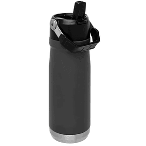 22 oz Stanley® Stainless Steel Insulated IceFlow Flip Straw Water Bottle